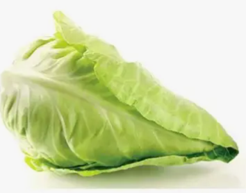 Tenderheart cabbage