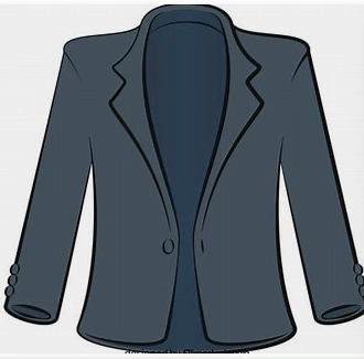 blazer / school blazer